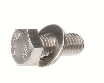 Globe X30101 Flat Washer/Screw Assembly (GLOX30101)