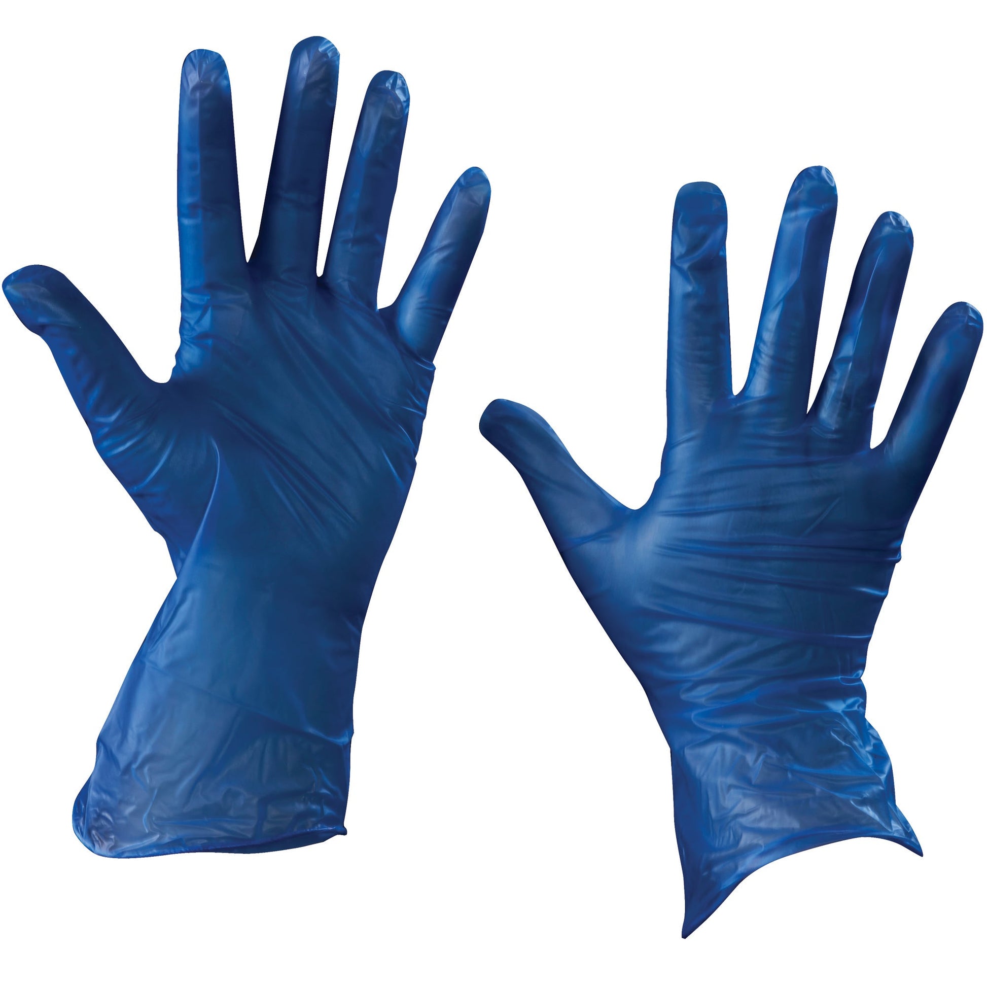 vinyl-gloves-blue-5-mil-powder-free-large-glv2045l_1