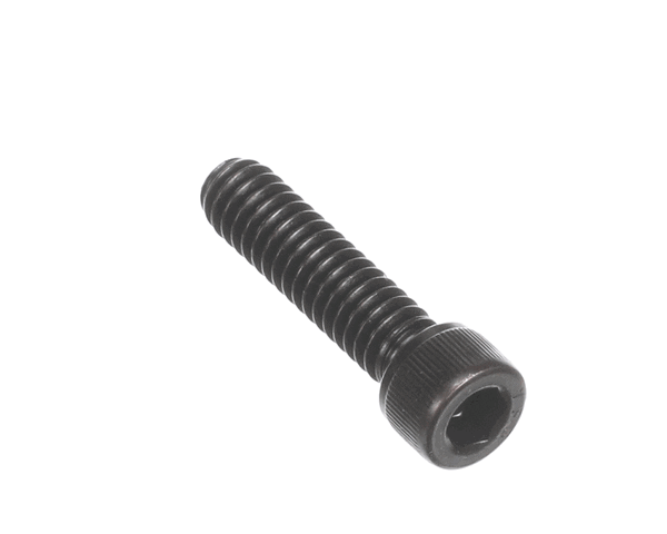 Crathco Grindmaster Cecilware W0610559 Screw, 1/4-20X1 Shcs, Stl Allo (GMW0610559)