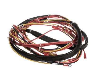 Groen 123779 Harness, Wiring-Kettle Control (GR123779)