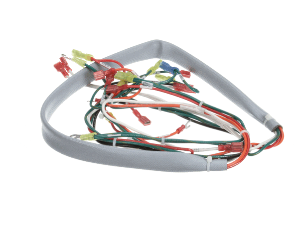 Groen 148503 Wiring Harness, Controls Ee-20, 40 (GR148503)