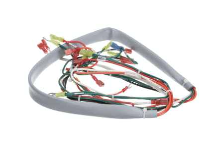 Groen 148503 Wiring Harness, Controls Ee-20, 40 (GR148503)