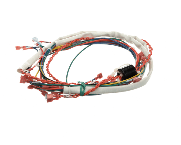 Groen 175288 Wire Harness,Control Low Voltage, Gas (GR175288)