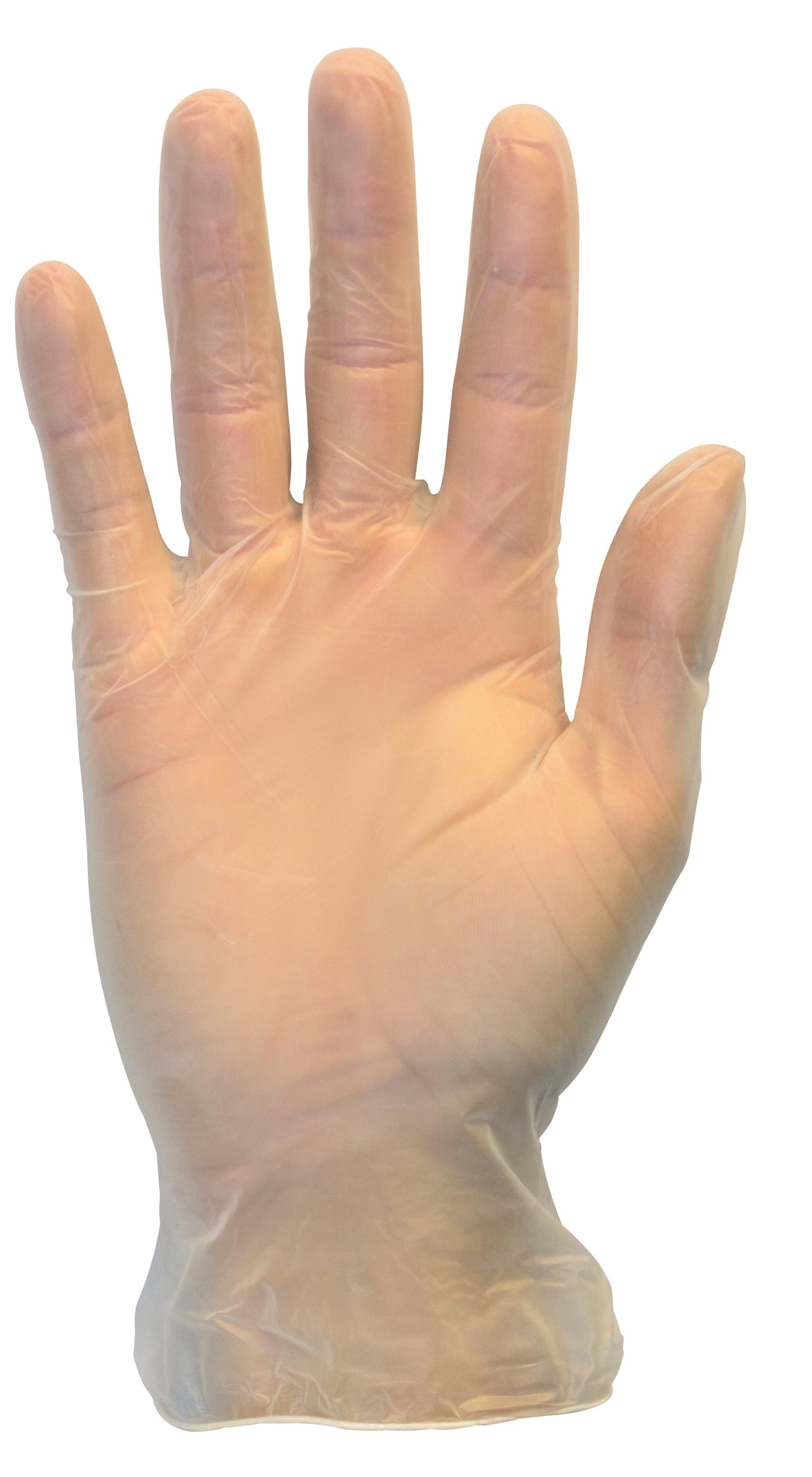 Safety Zone® Vinyl Powdered 3 mil Gloves, Clear, Med, Case of 1000 (SZNGVDR-MD-1)