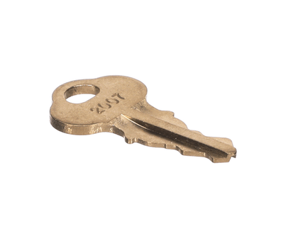 Helmer 220519 Backup Power Key (HEL220519)