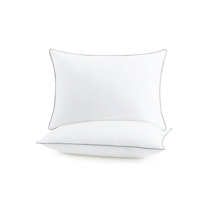 Arkwright Home Host & Home 2 Pack Bed Pillow Queen 20x30 (P-HH-2PK-PIL-QN)