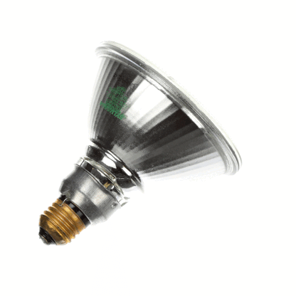 Hickory 149 Lamp Par 115V,H90Par38/Fl (HIC149)