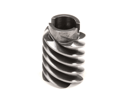 Hobart 00-024298 Worm (HOB00-024298)