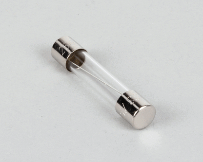 Hoshizaki 4A0893-07 Fuse AGC 10 (HOS4A0893-07)