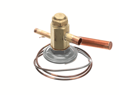 Hoshizaki 4A4597-01 Valve-Expansion (HOS4A4597-01)
