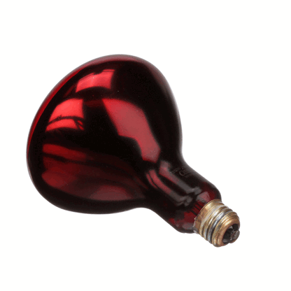 Hatco 02.30.068.00 Lamp-250W,120V,Red,Inf,Ctd (HT02-30-068-00)