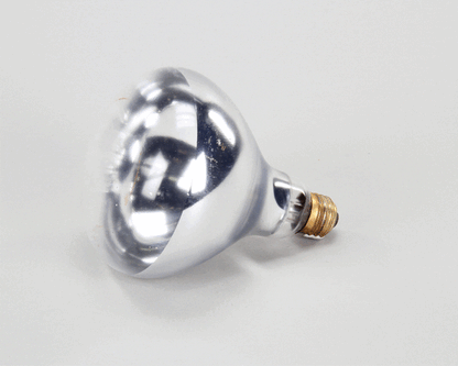 Hatco HT02.30.100.00 Lamp/Bulb 240V 250W (HT02.30.100.00)