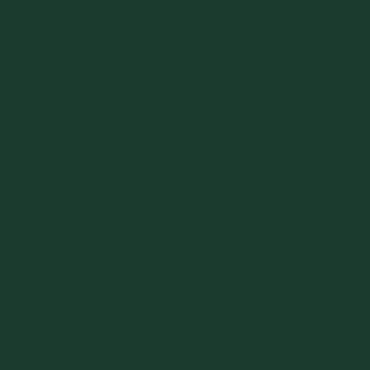 Hospeco® Cotton Jr. Salon Towel 16x27 Hunter Green, 12/Pack (BBJ-1627-2.5HUN)