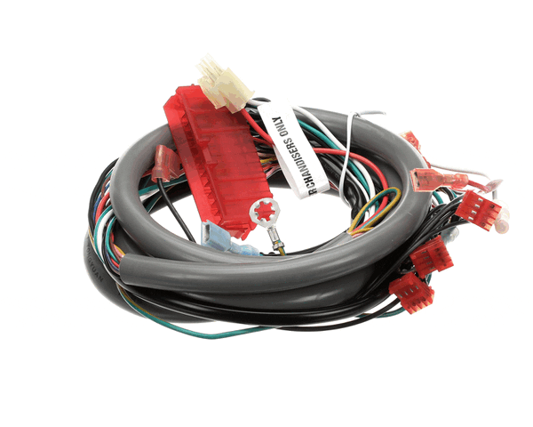 Cornelius 629096913 Kit Wire Harns Ilum Opt Qst4 (ICO1058373)