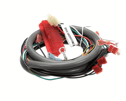 Cornelius 629096913 Kit Wire Harns Ilum Opt Qst4 (ICO1058373)