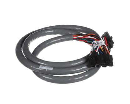Cornelius 620066712-002 Harness Br Bank 1 Valves (ICO2617012)