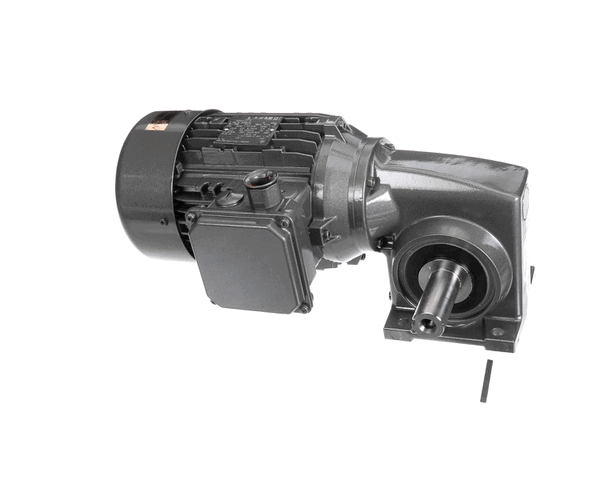 JBT 005617345 Gear Motor 230V/460V 50Hz/60Hz (JBT005617345)