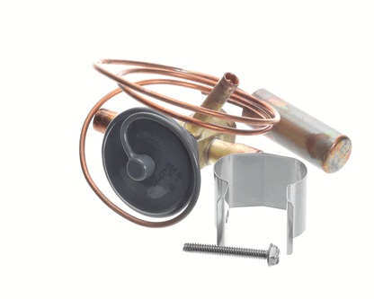 Lennox 38M74 R410A Expansion Valve (LEN38M74)