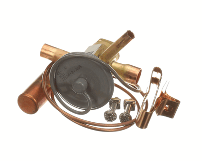 Lennox 59W21 Expansion Valve (LEN59W21)