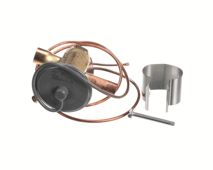 Lennox 79J75 Expansion Valve (LEN79J75)