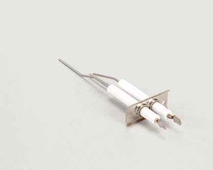 Lang 2J-80302-05 Dsi Electrode Assembly (LG2J-80302-05)