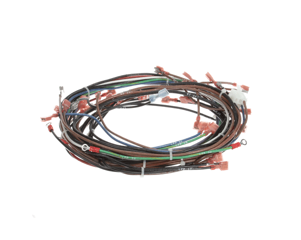 Lincoln 370341 Wire Harness Cti 60Hz1Ph (LIN370341)