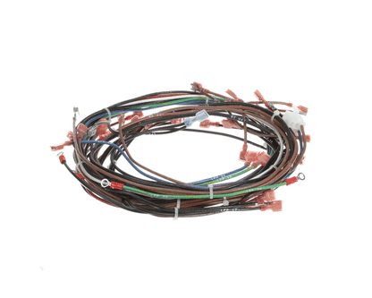 Lincoln 370341 Wire Harness Cti 60Hz1Ph (LIN370341)