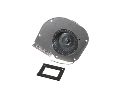 Lochinvar 100145012 K,Fan,Dual Voltage,115/230 Vac,Er202-402 (LOC100145012)