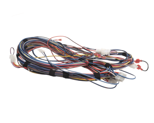 Lochinvar 100173240 Harnesswire24Vpb/Pf (LOC100173240)