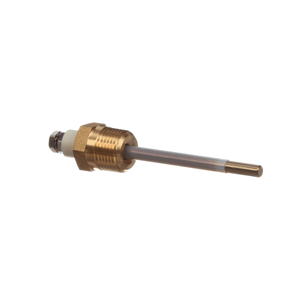 Lochinvar 100208662 K,Probe,Lwco (LOC100208662)
