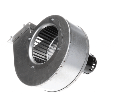Lochinvar 100233485 K,Fan,115V/60Hz,Cfii/Ie/Iie (LOC100233485)