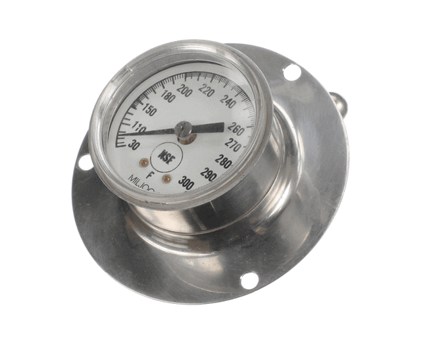 Low Temp Industries 500040 Thermometer,Dial(2)Rear Flng (LOW500040)
