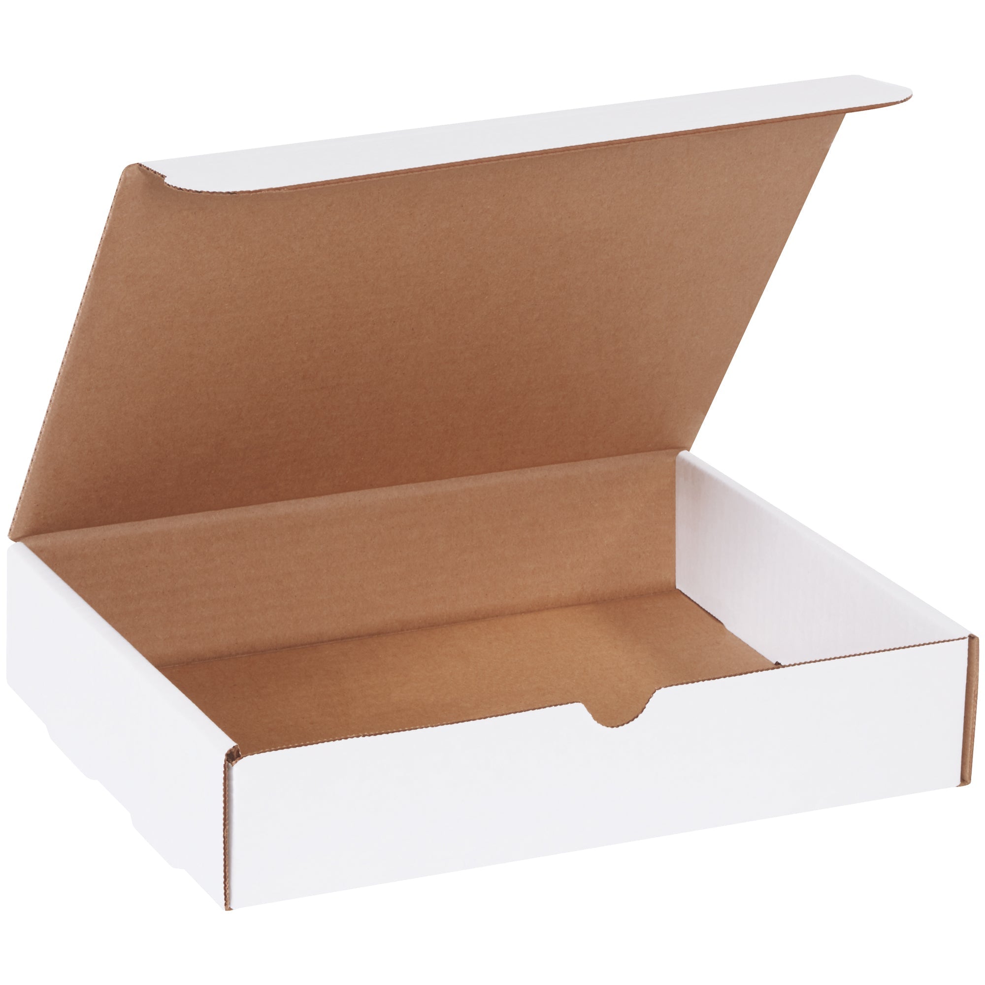 11-1-8-x-8-3-4-x-2-5-16-white-literature-mailers-m1182d_1