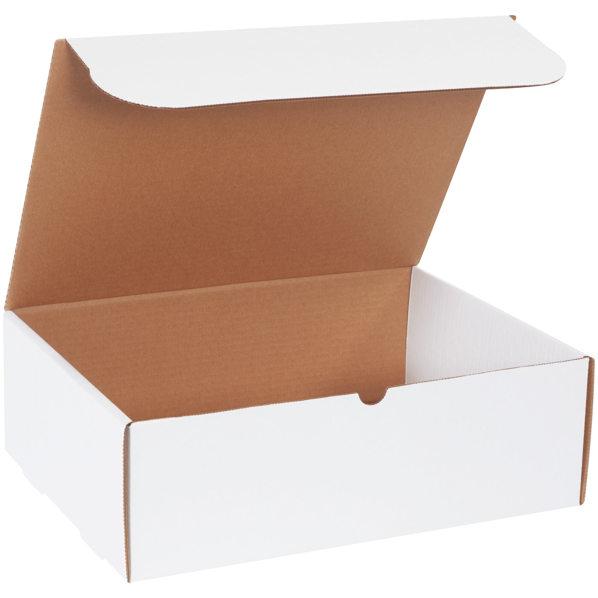 15-1-8-x-11-1-8-x-5-white-literature-mailers-m15115_1
