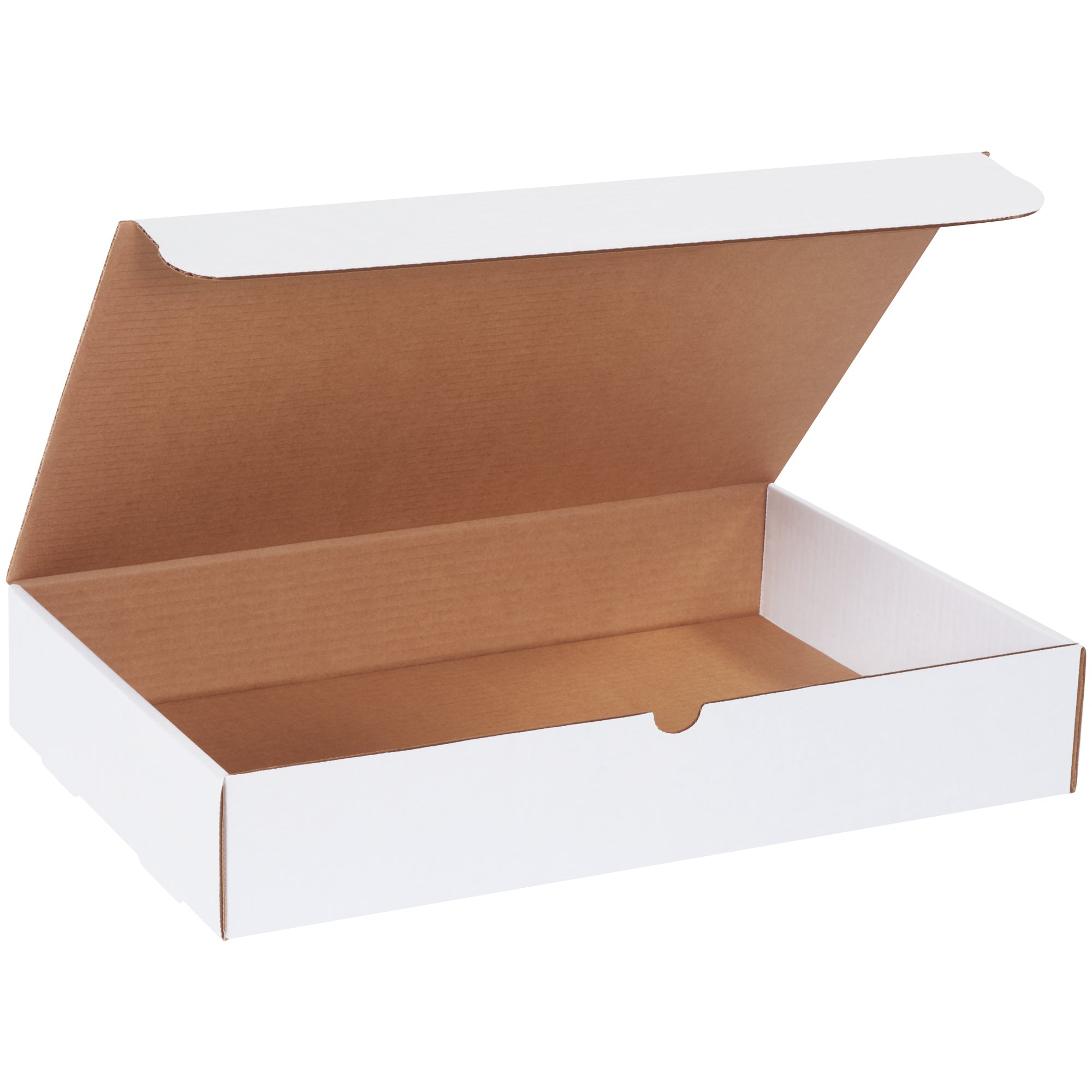 17-1-8-x-11-1-8-x-3-white-literature-mailers-m17113_1