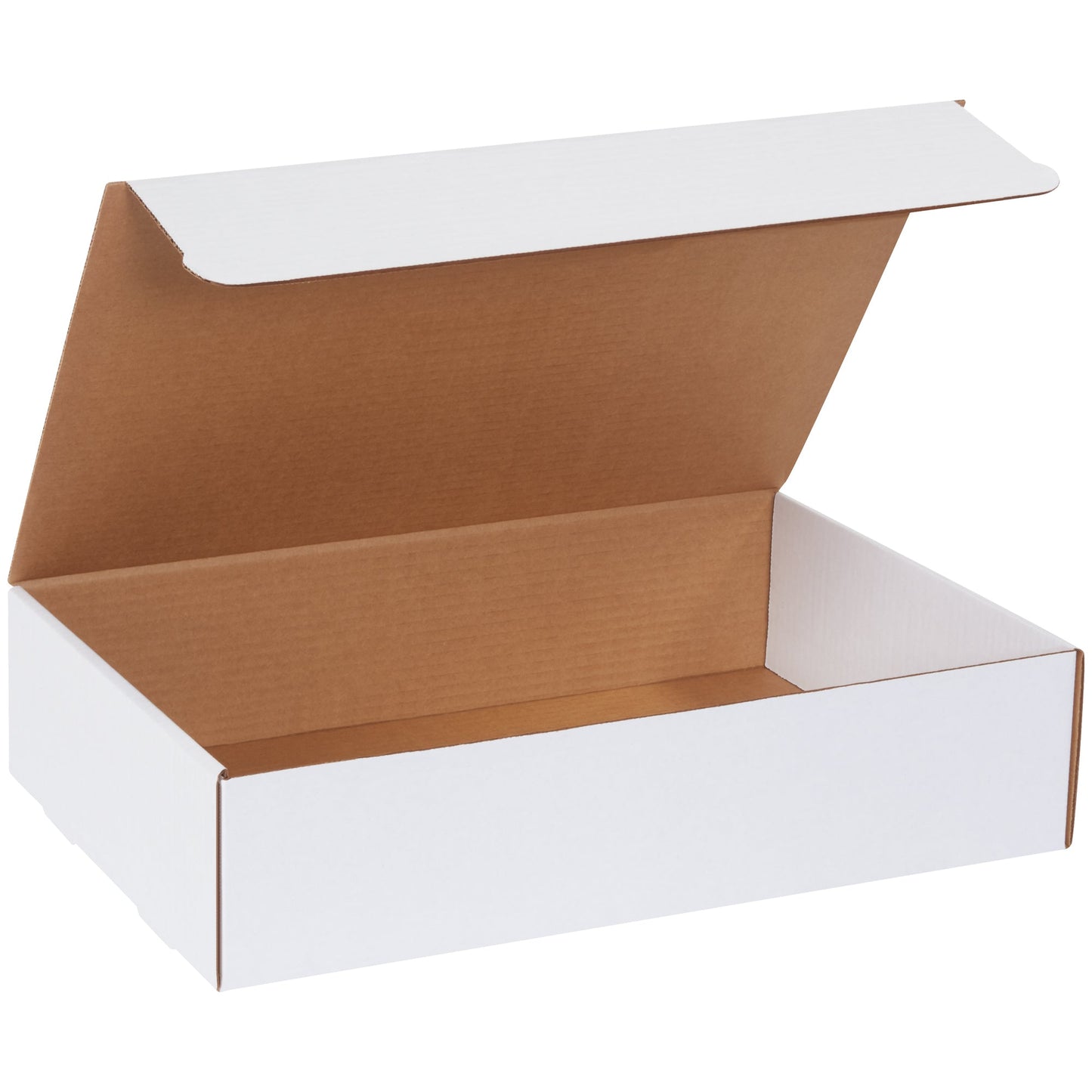 17-1-8-x-11-1-8-x-4-white-literature-mailers-m17114_1