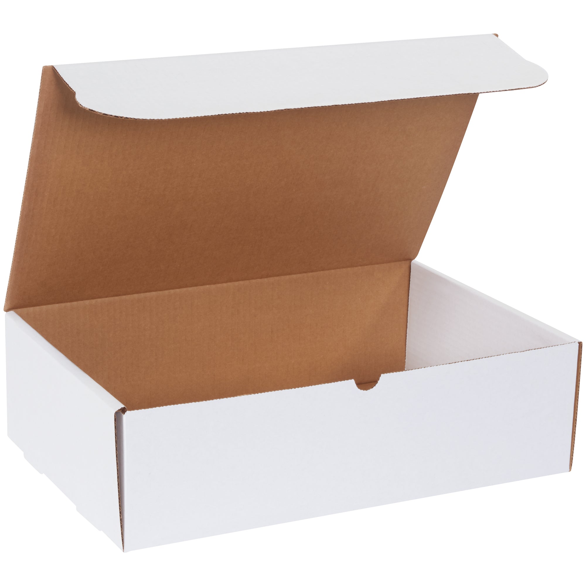 17-1-8-x-11-1-8-x-5-white-literature-mailers-m17115_1