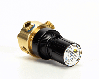 Multiplex 00683058 Regulator 0-100 Psi Gas 1/4Npt Port (MANB00683058)