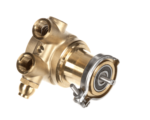 Multiplex 00702917 Pump 070 Gph Brass W/170 (MANB00702917)