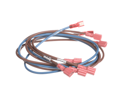 Middleby 74281 Wireset,24Vdc Motor Ps670 (MD74281)