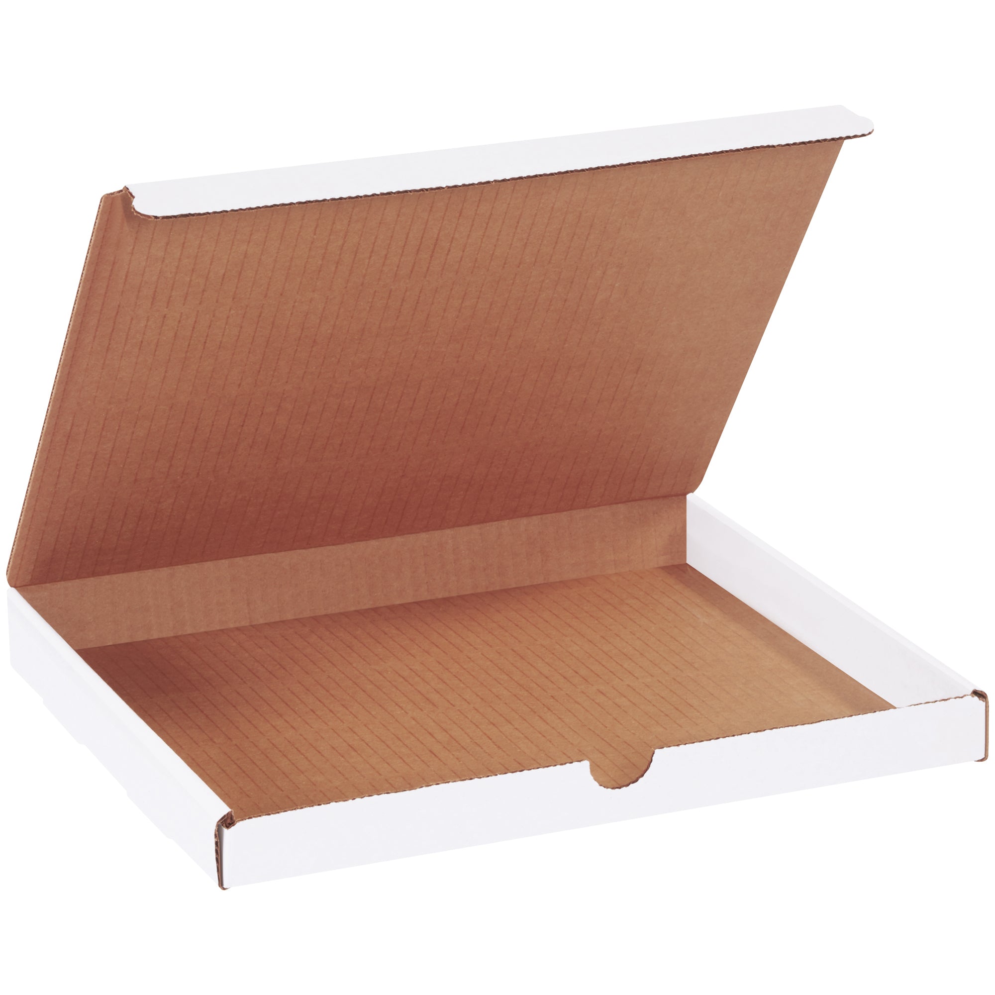 11-1-8-x-8-3-4-x-1-white-literature-mailers-ml1181_1