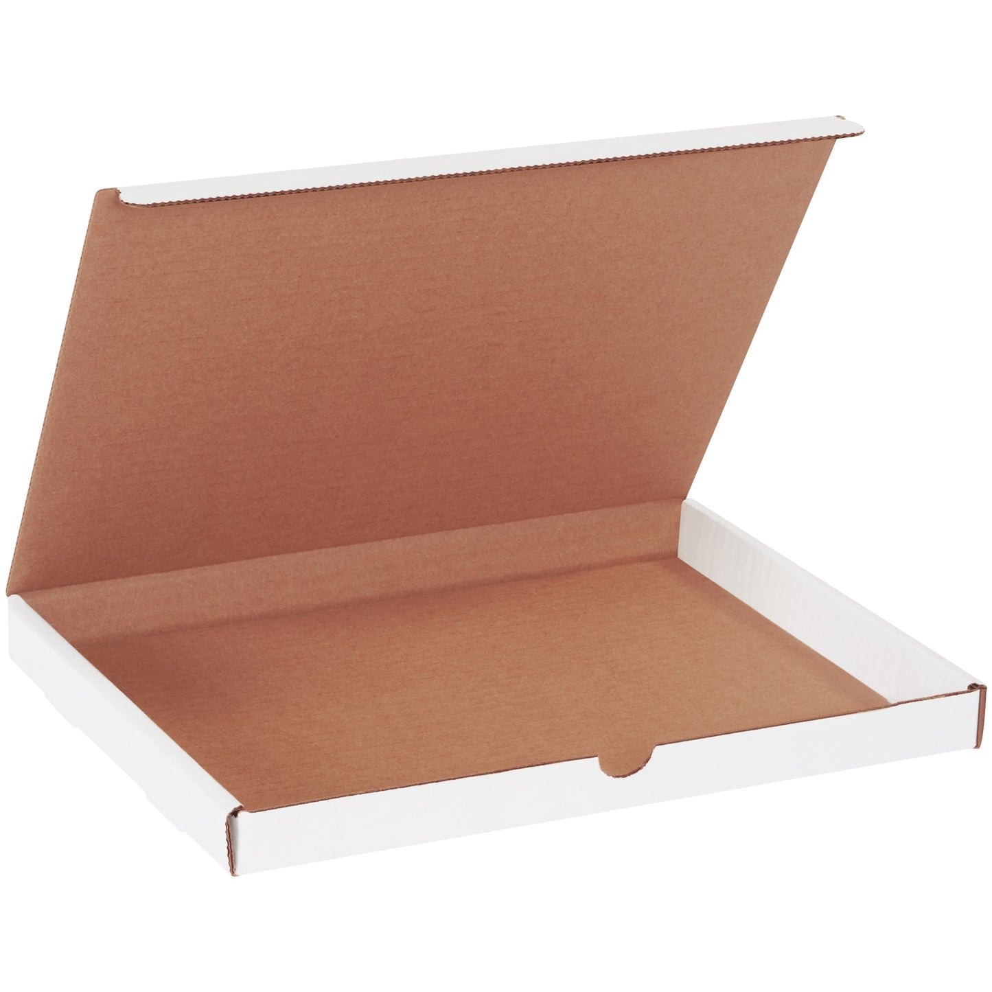 12-1-8-x-9-1-4-x-1-white-literature-mailers-ml1291_1