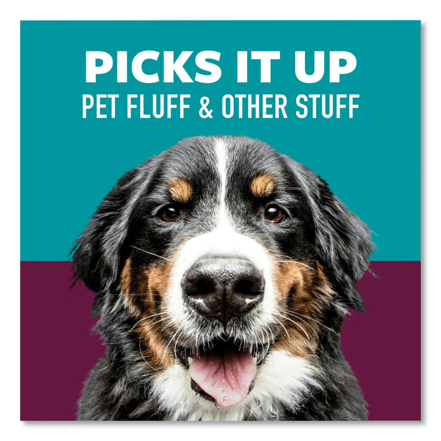 Scotch Brite Pet Hair Pickup Lint Roller, 70 Sheets/Roller, 2/Pack (MMM839RS70TP)