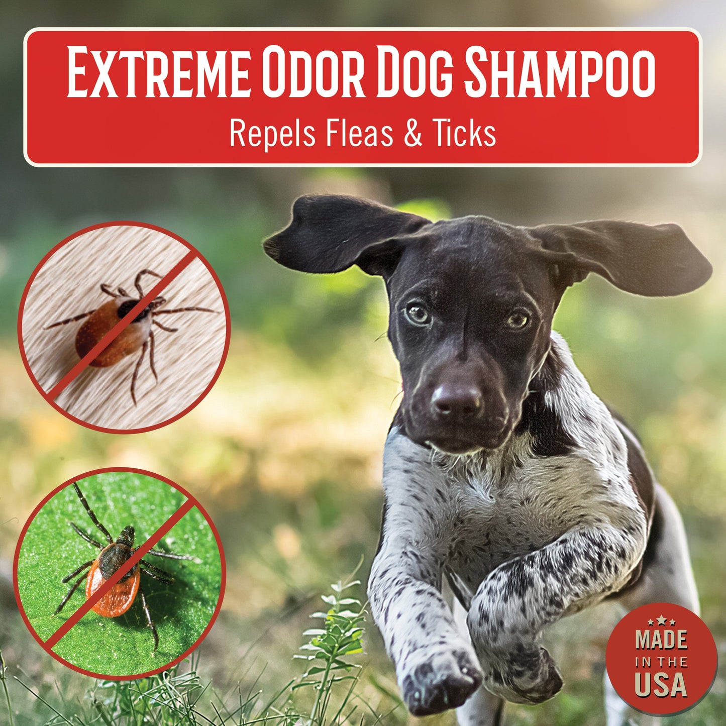 Mossy Oak® Xtreme Odor Dog Shampoo, Original, 16oz, 12/Case (MO-00611-CS)