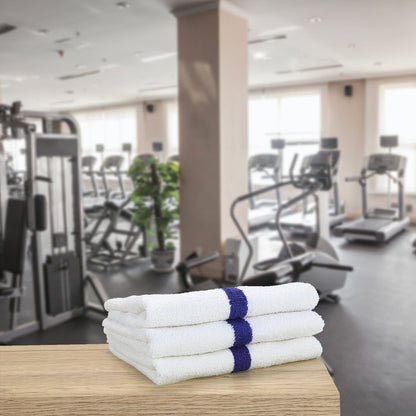 Hospeco® Power Gym Hand Towel 16x27 Blue Stripe, 120/Case (HOSPWR-1627-3BCS-CS)