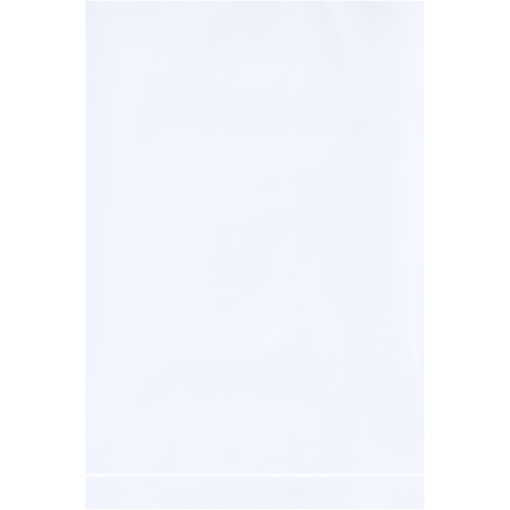 4-x-6-2-mil-white-flat-poly-bags-pb390w_1