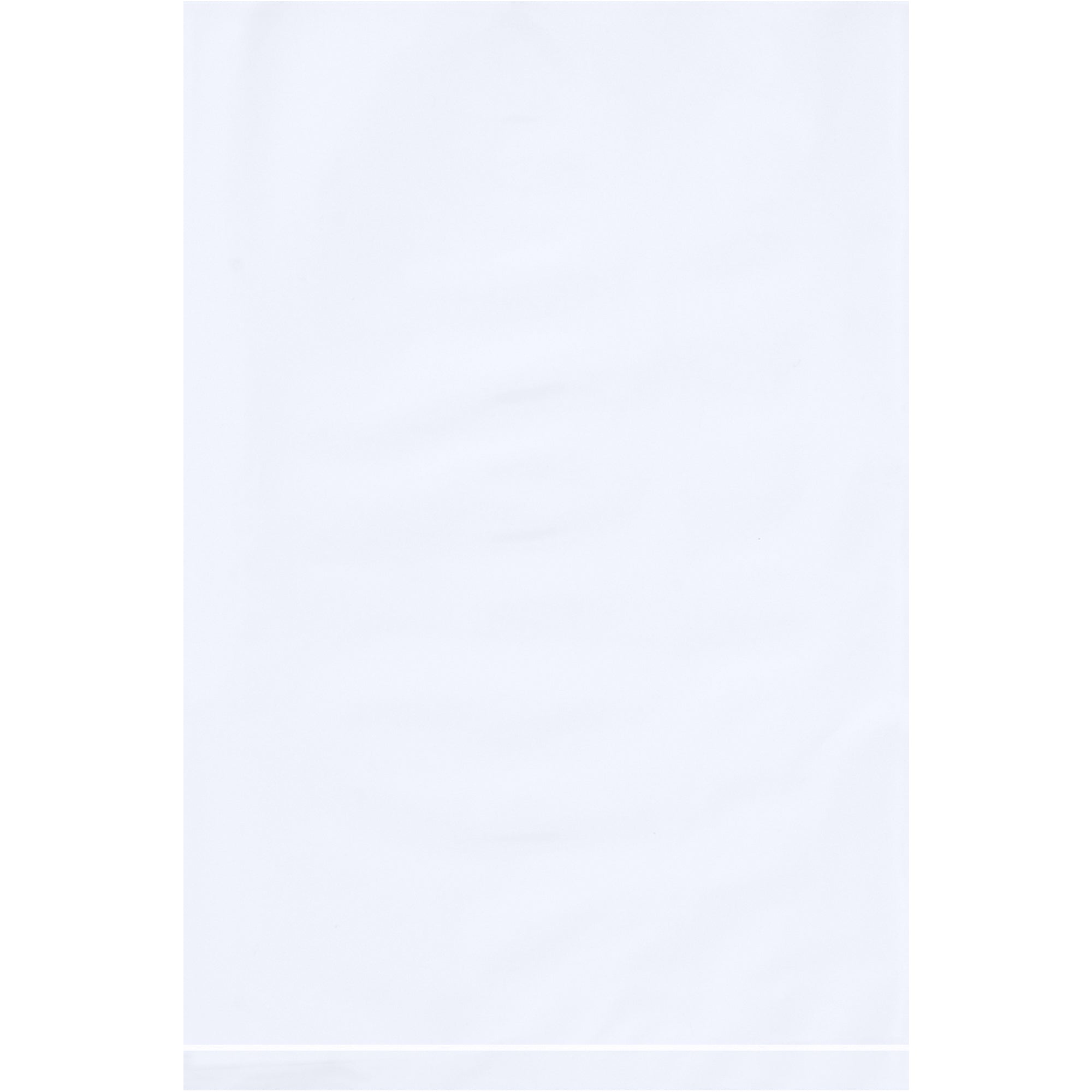 6-x-9-2-mil-white-flat-poly-bags-pb440w_1
