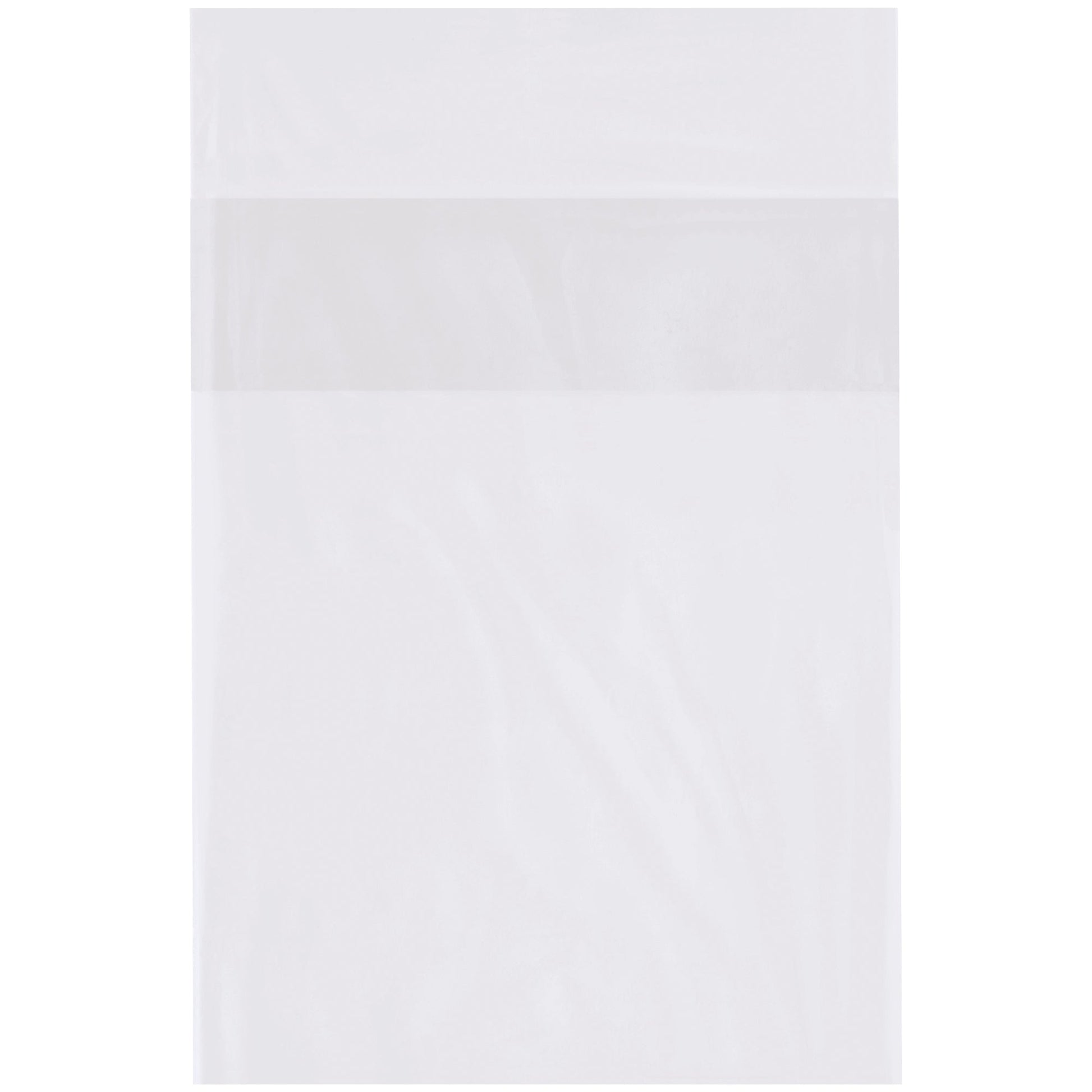 6-x-9-2-mil-flap-lock-poly-bags-pbfl060902_1
