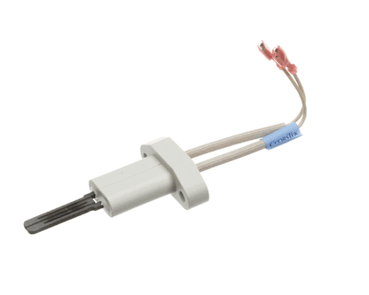 Polaris Water Heater 100110899 Natural Gas Igniter Hcg - 9006 (PLRS100110899)