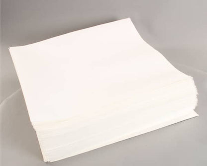 Pitco A6667101 Filter,Env 20.5 X 18.5 Ctr Hole (PTA6667101)